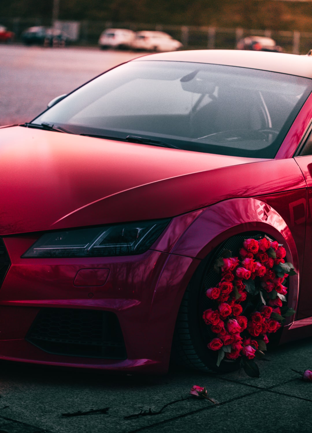 inred